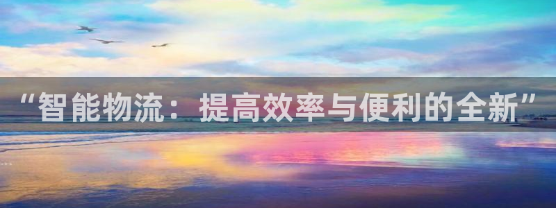 28圈黑款：“智能物流：提高效率与便