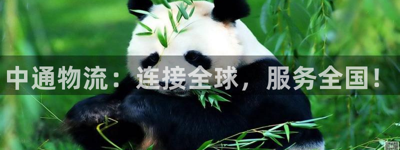 28圈v6能卖多少：中通物流：连接全