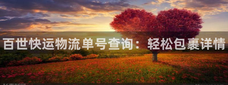 28圈加拿大是什么意思：百世快运物流