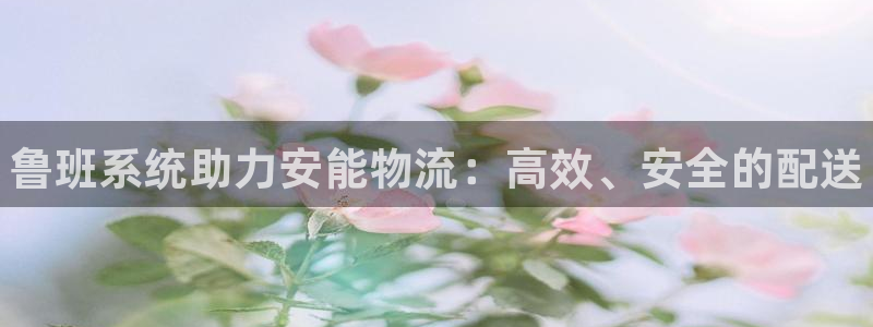 28圈加拿大是什么意思：鲁班系统助力