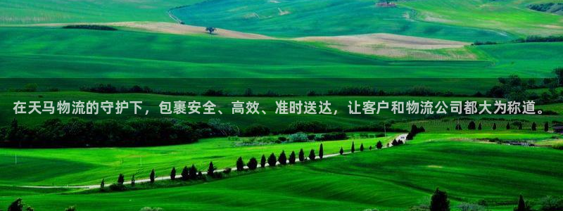 28圈连接:在天马物流的守护下,包裹