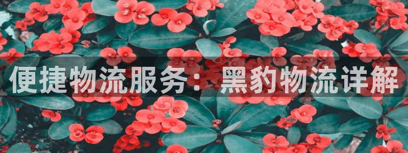 28圈登录不上咋回事：便捷物流服务：