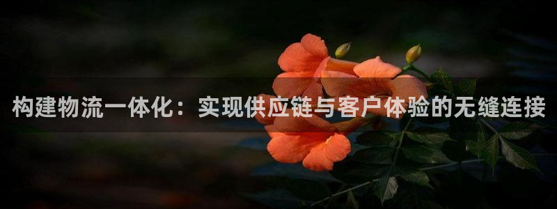 28圈.ccm南宫：构建物流一体化：