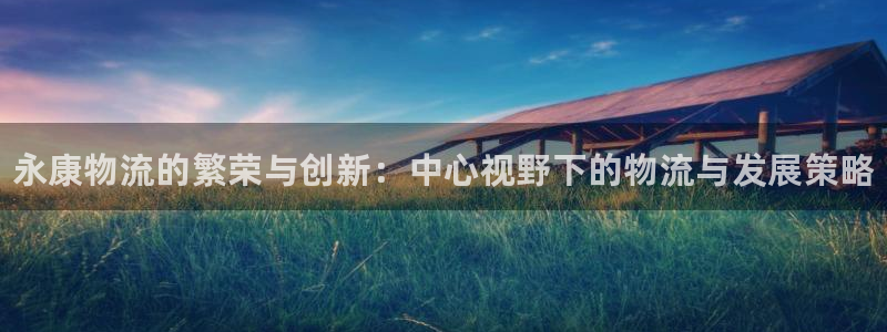 28圈官网多少：永康物流的繁荣与创新