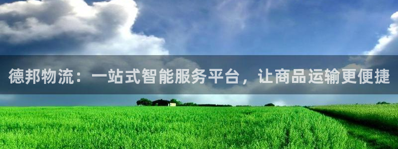 28圈预测加拿大：德邦物流：一站式智