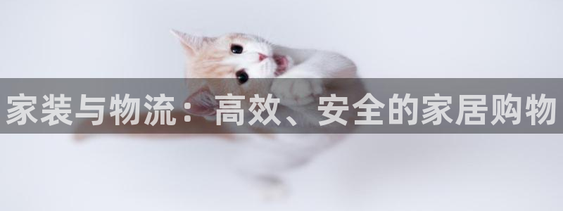 28圈如何看012路计划:家装与物流