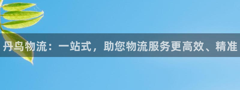 28圈图片:丹鸟物流:一站式,助您物