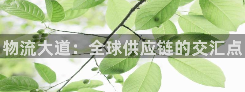 28圈提款一直没到:物流大道:全球供