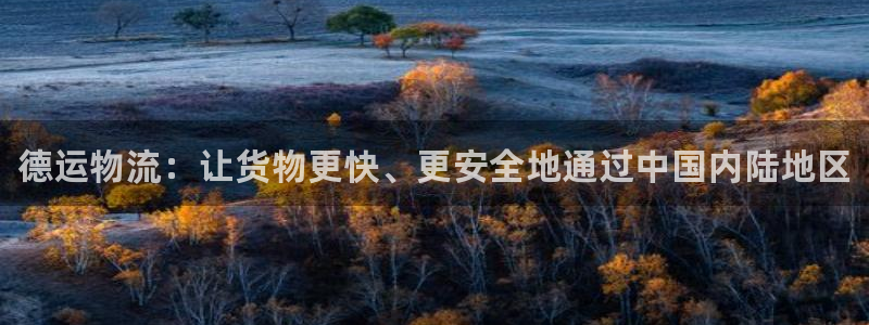 28圈黑不黑：德运物流：让货物更快、